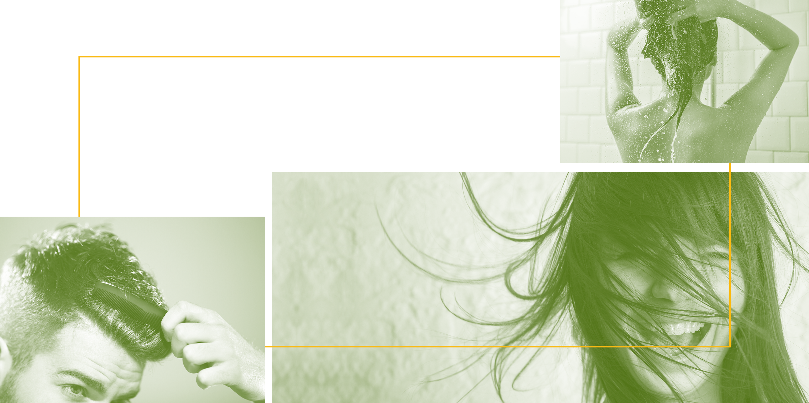 NF SKIN_hair CARE